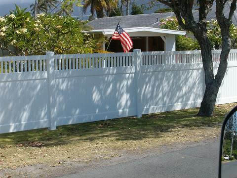 Chain link fence with gate