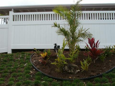 White vinyl fence with tropical landscaping