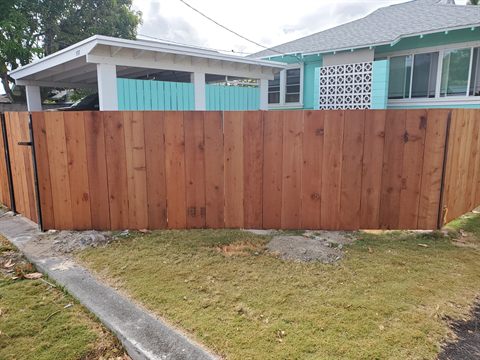 Redwood privacy fence along a front yard, Oahu